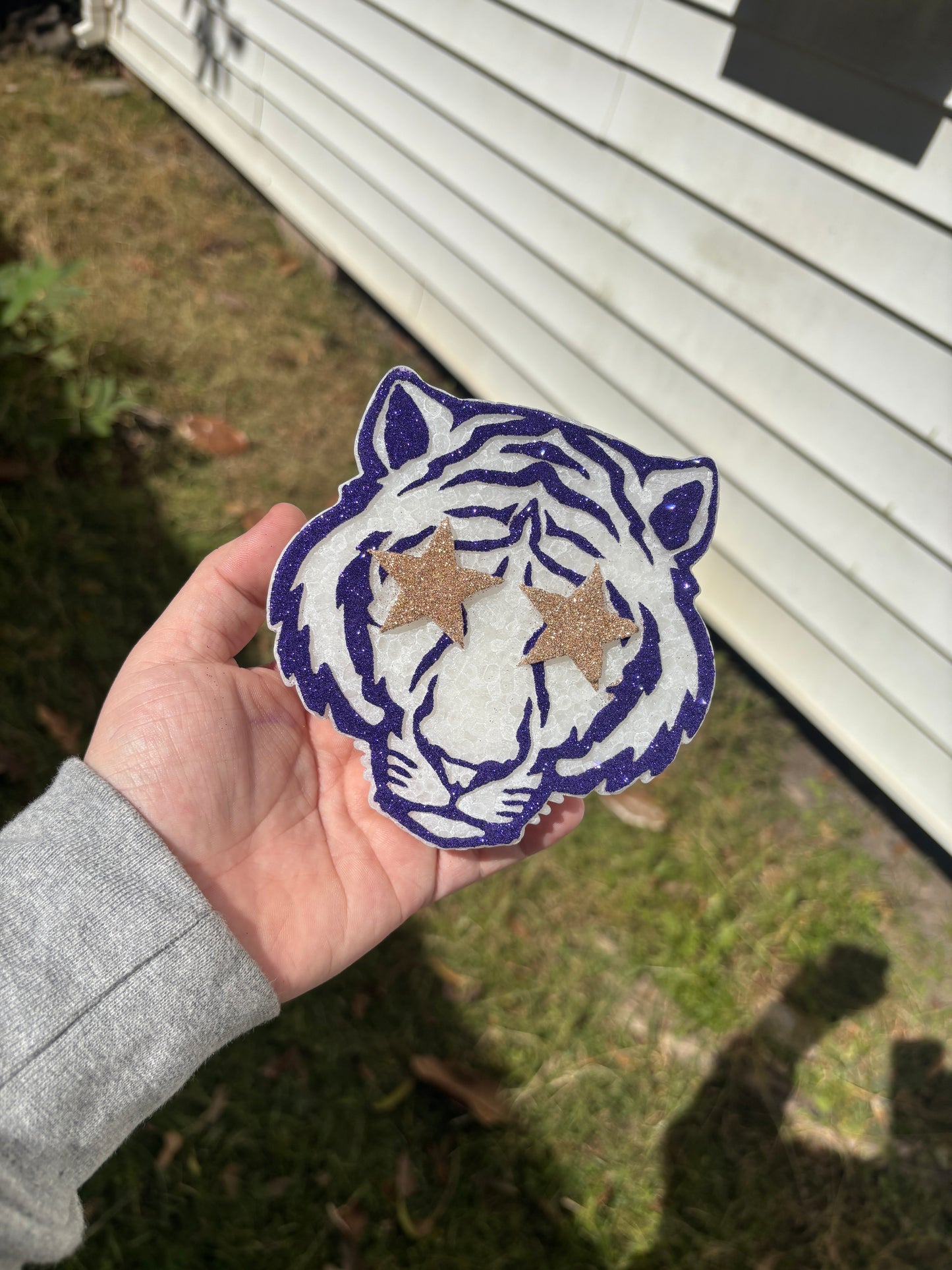 Tiger with Star Eyes