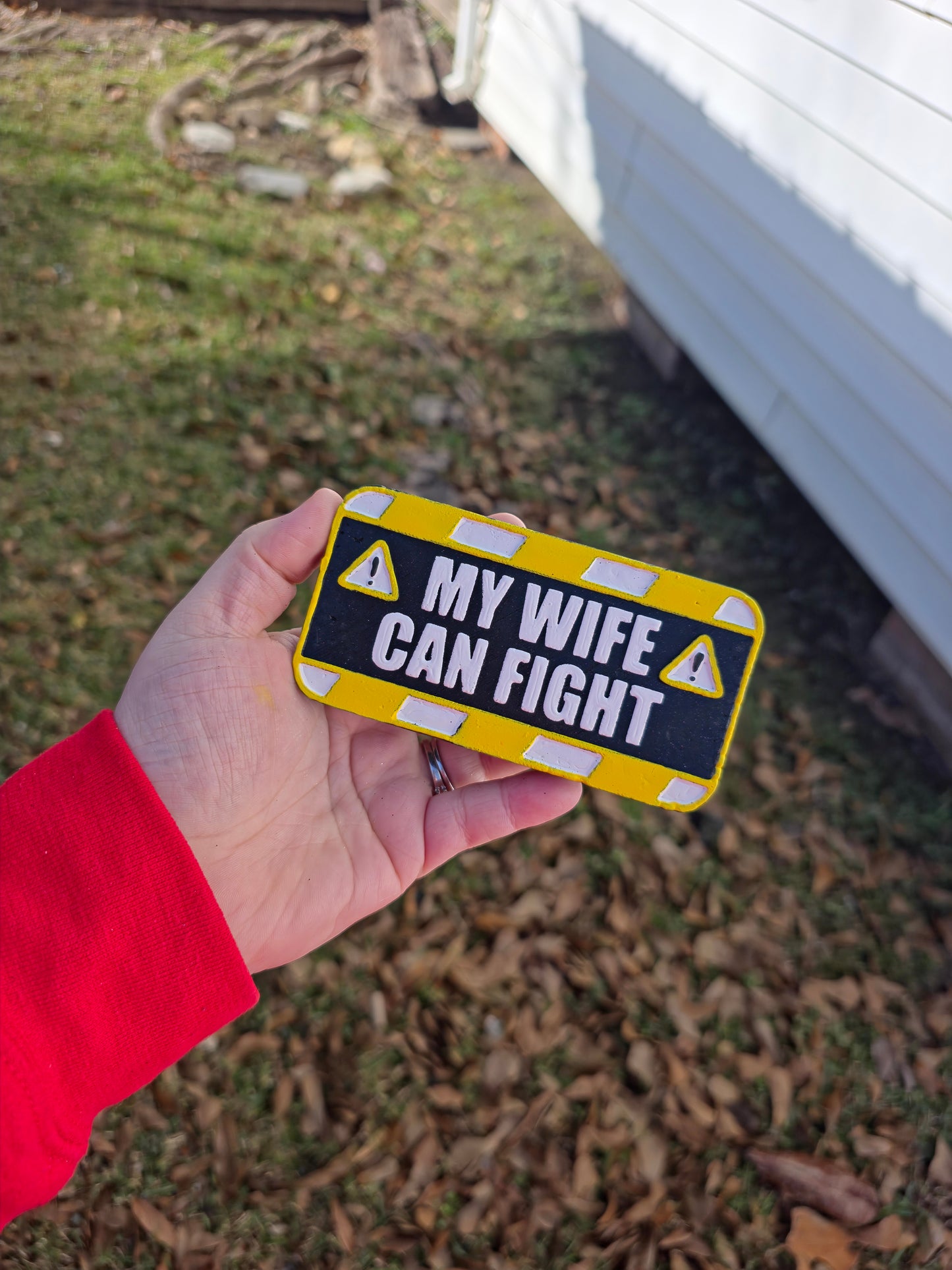 My Wife Can Fight