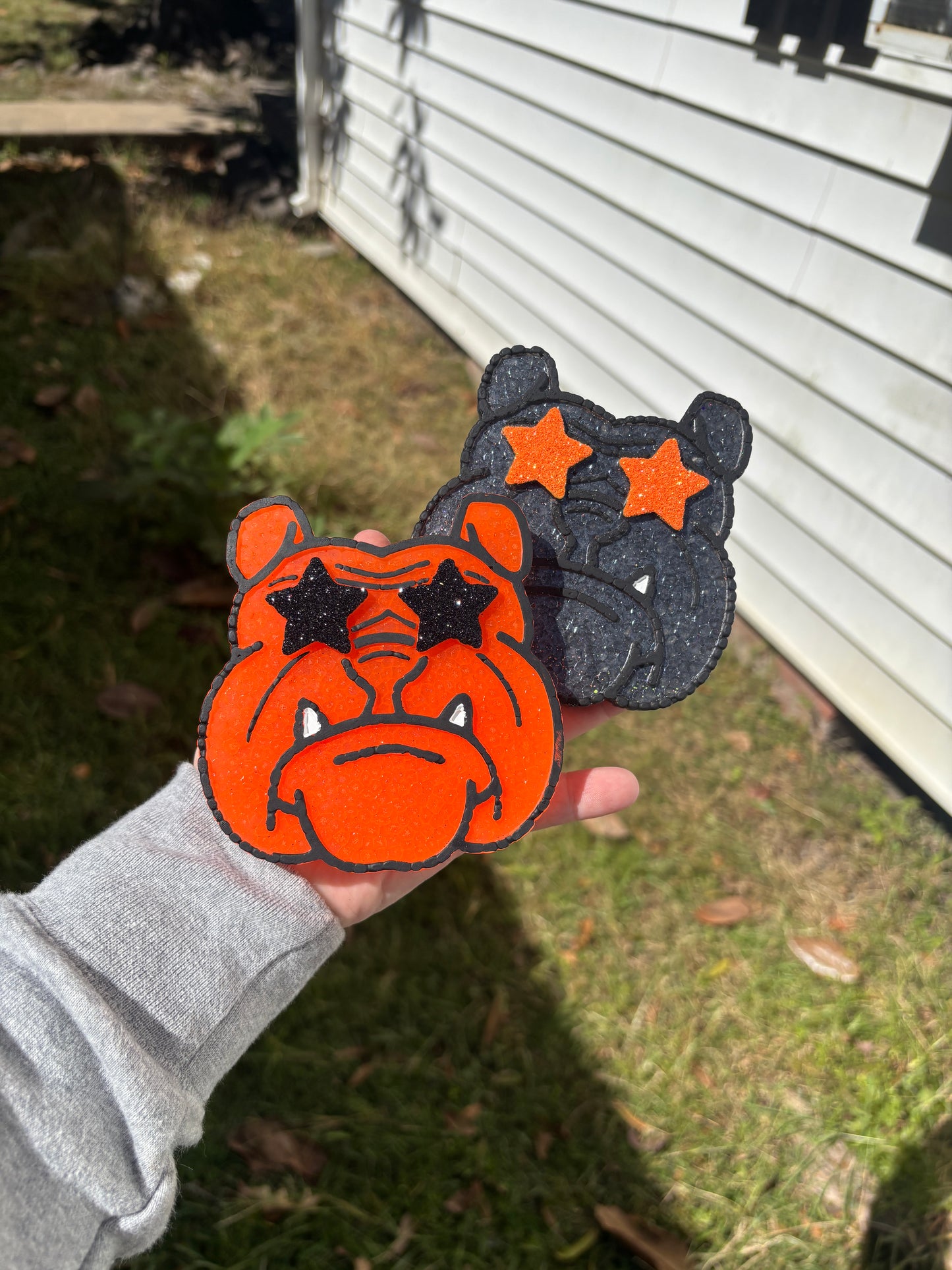 Bulldog with Star Eyes