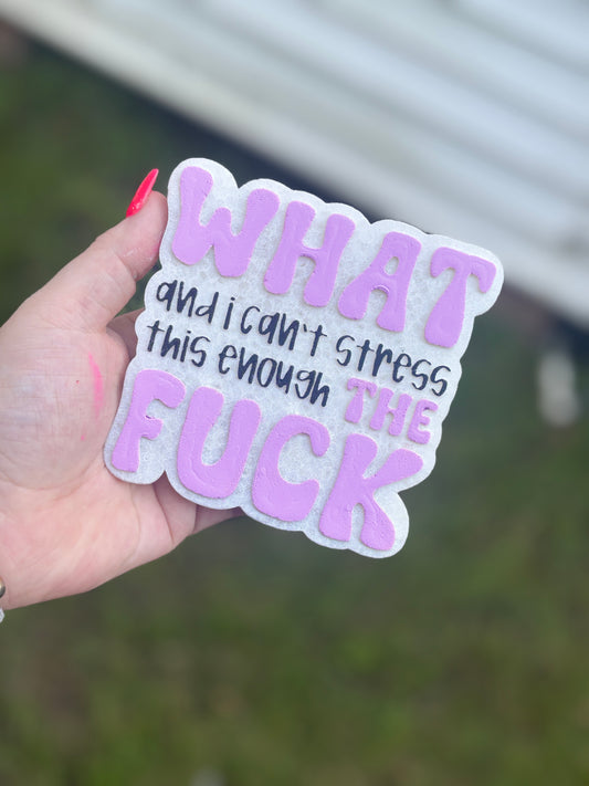 What And I Can't Stress This Enough The F*ck